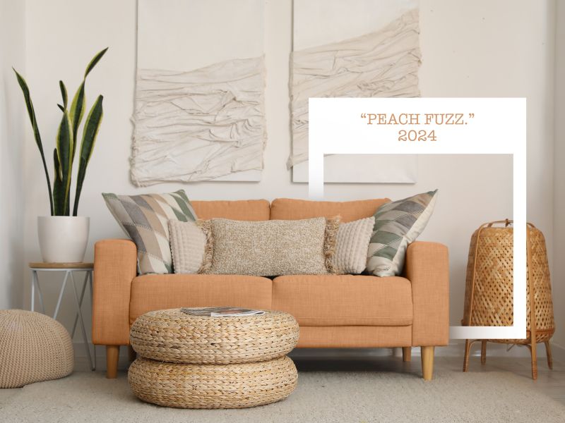 Color Pantone 2024, Peach Fuzz