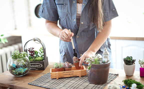 Decoración con cactus y suculentas