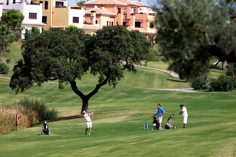 Campo de golf de Hato Verde