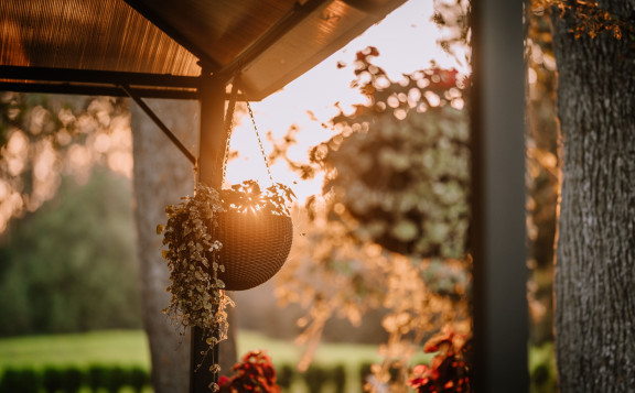 ideas para hacer sombra en jardín