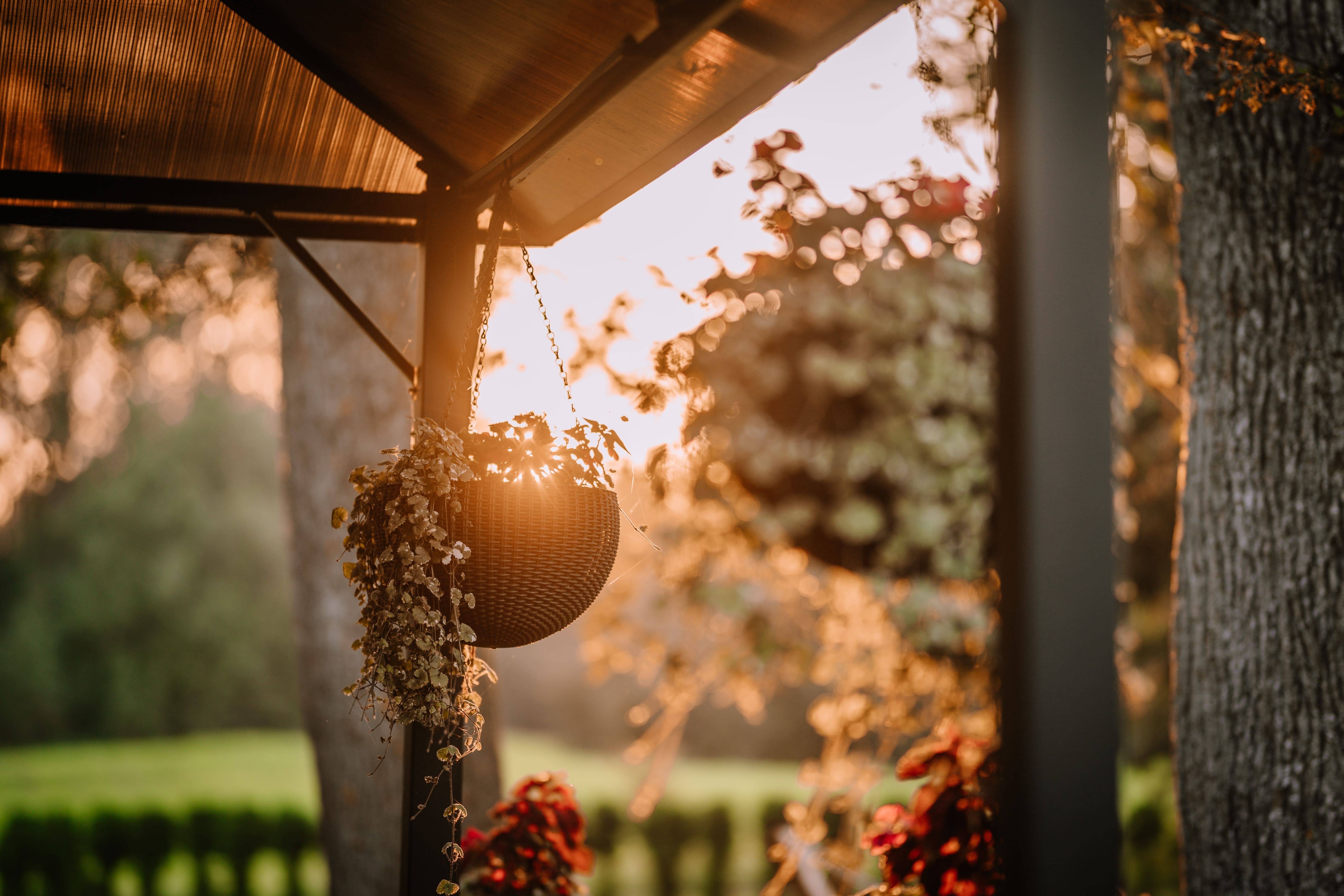 ideas para hacer sombra en jardín