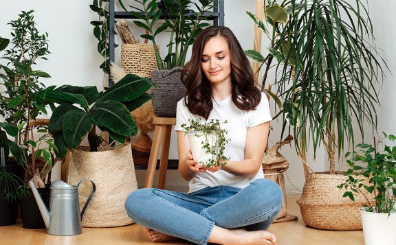 Las plantas antimosquitos de interior y exterior