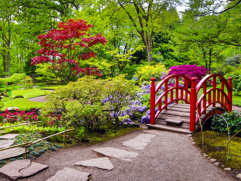La decoración de un jardín japonés: los mejores trucos y consejos