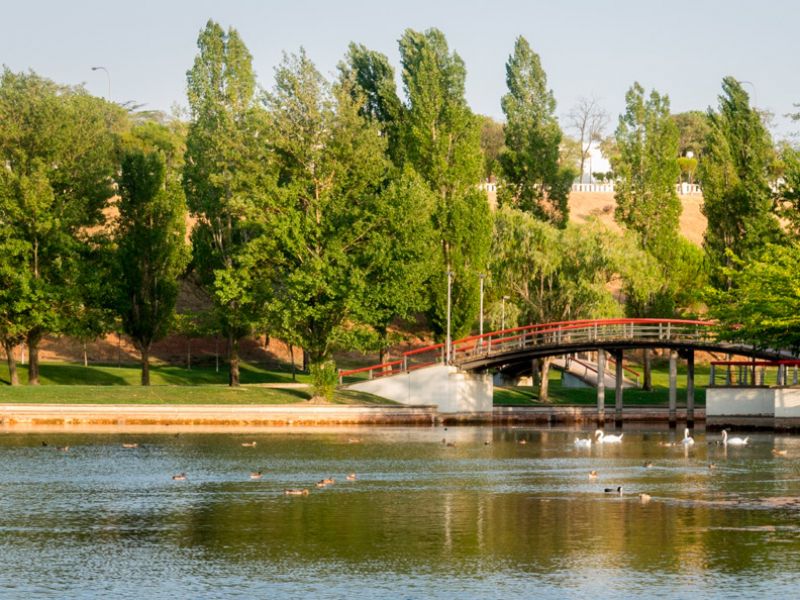 Las ventajas de vivir en Tres Cantos